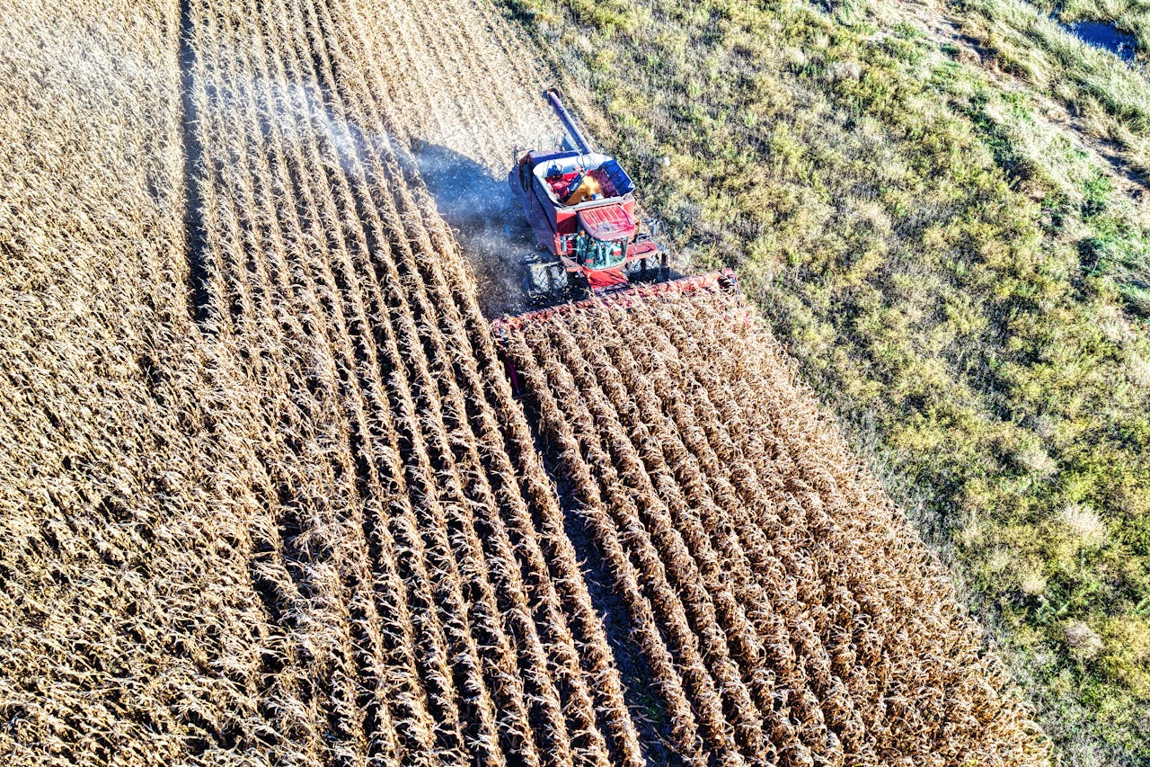 The Unexpected Color Dominating Paris Fashion Week Aerial view of a red combine harvester collecting corn in Minnesota farmland.