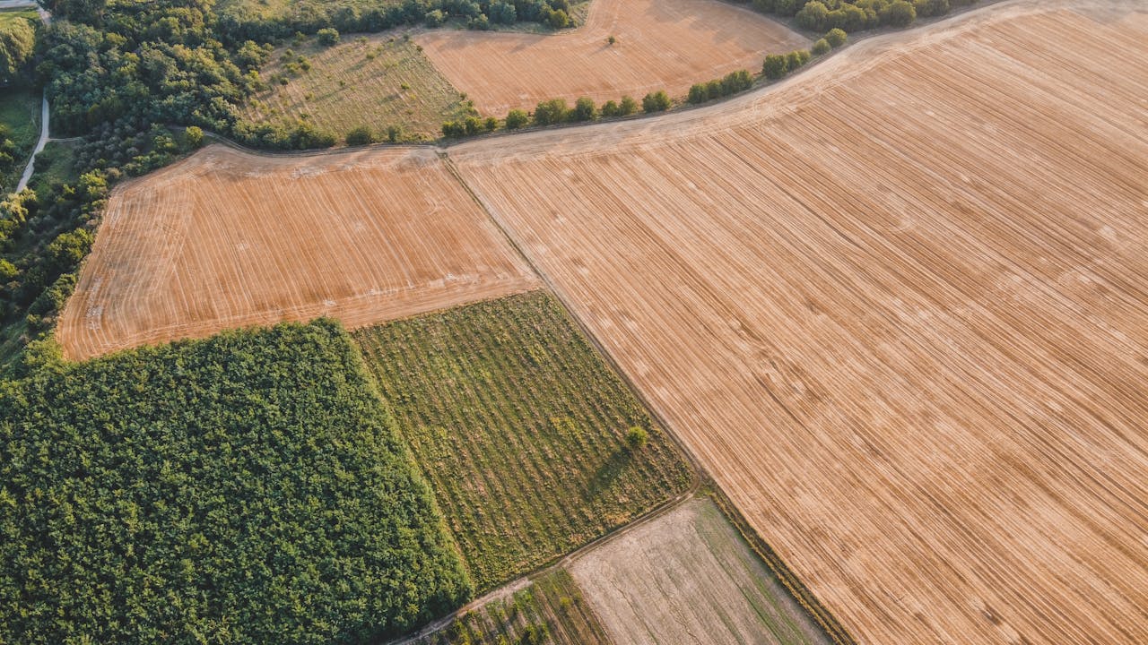 Why Japan’s Hidden Villages Are 2025’s Top Destination Aerial photograph showcasing diverse agricultural fields in Săcueni, Romania.
