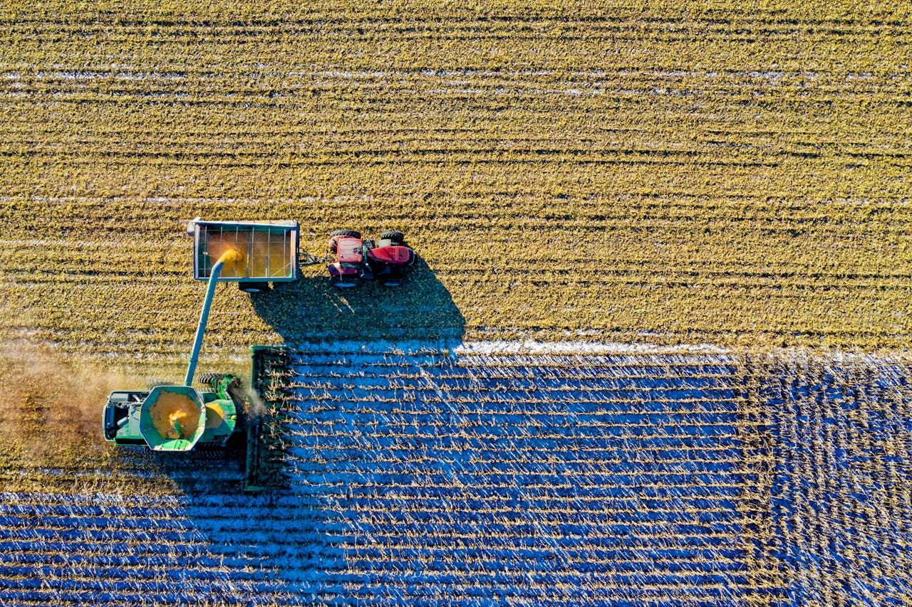 Services-01 Drone captures vibrant aerial view of tractors harvesting corn in Minnesota field.