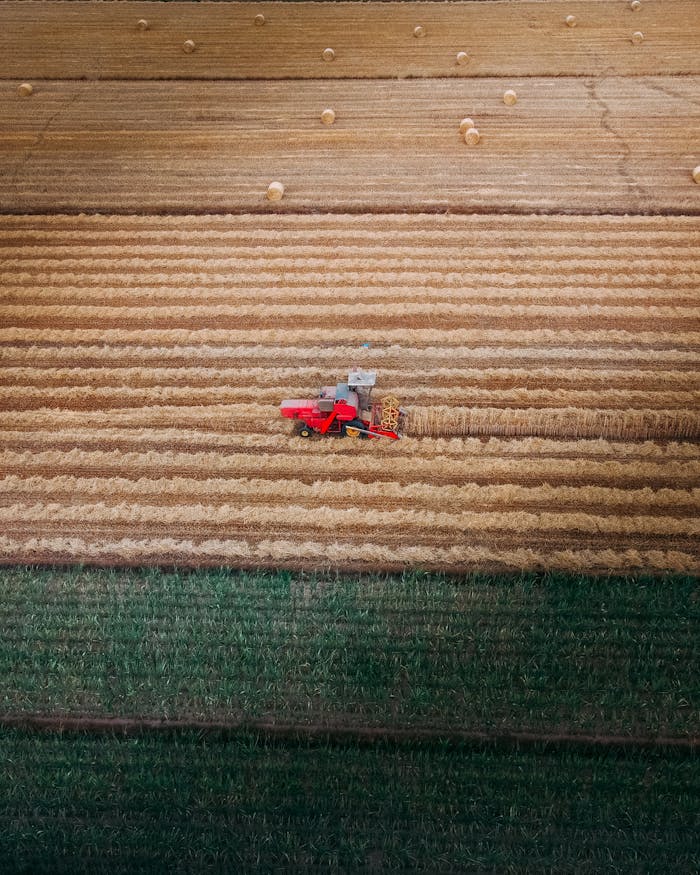 Aerial shot of a combine harvester working on a wheat field in Rudzica, Poland.
