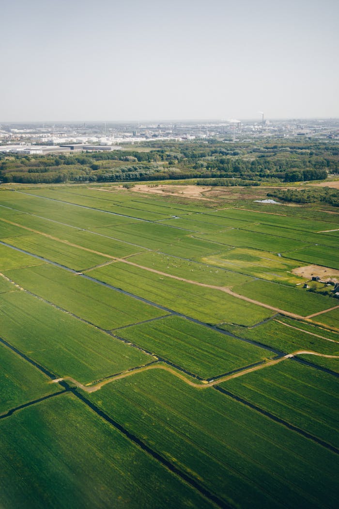 Aerial view of expansive green farmland in the Netherlands, showcasing lush fields under daylight.