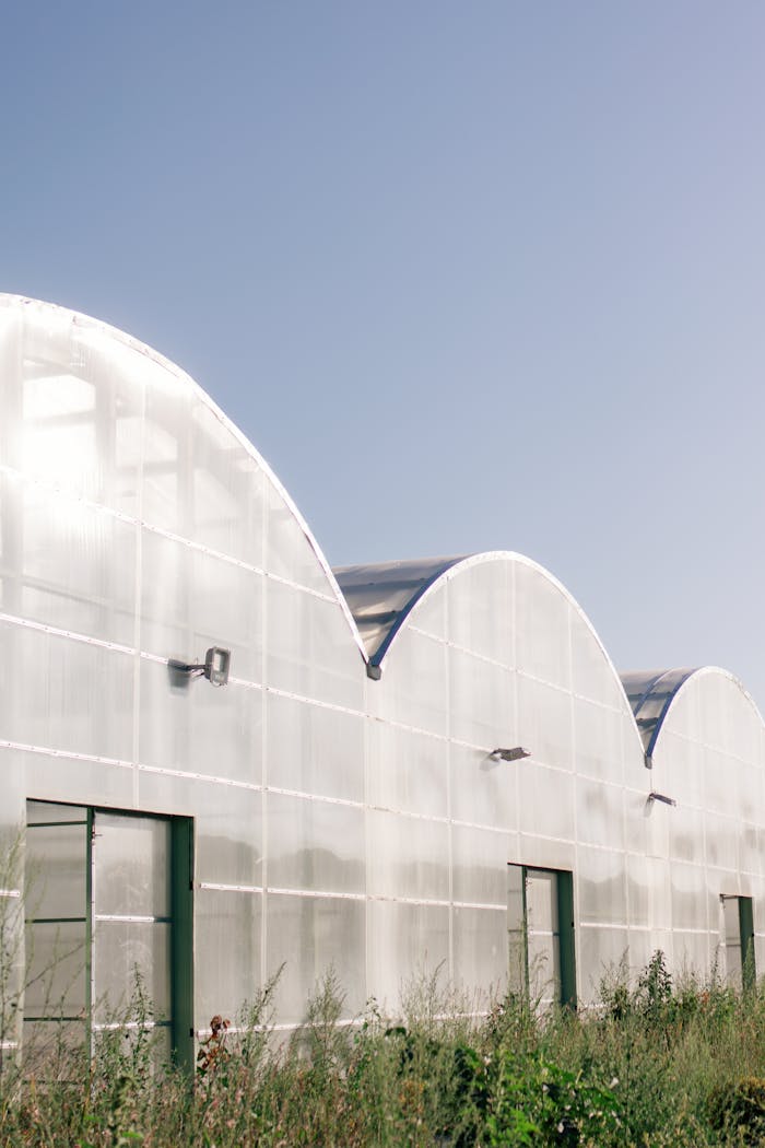 Minimalist view of arched greenhouses in a rural setting under a bright blue sky.