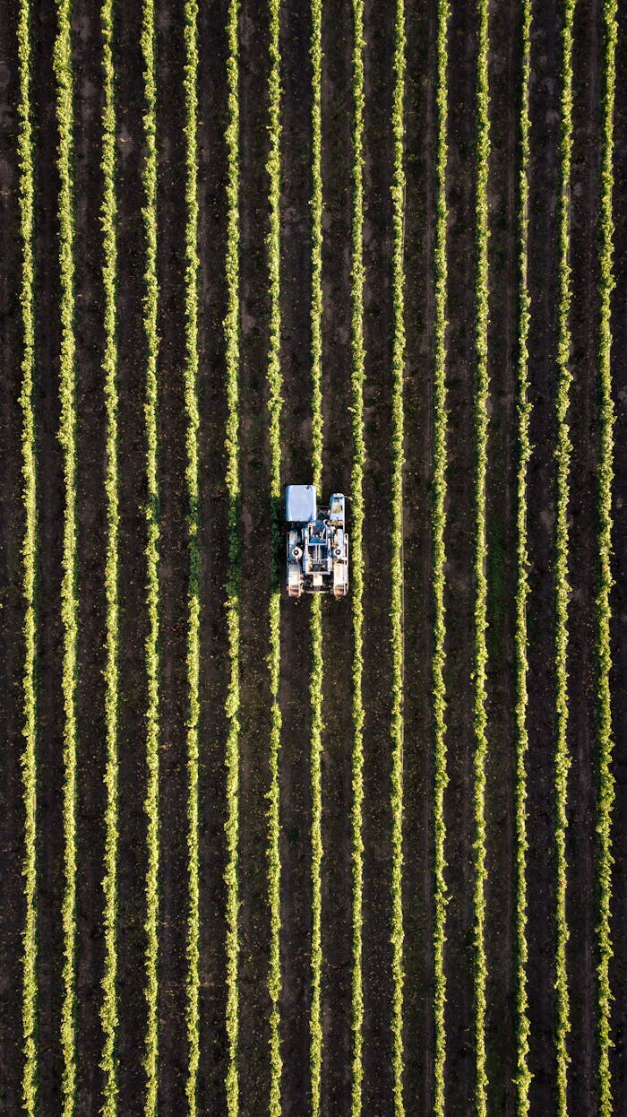 digital Aerial view of a tractor working in neat rows of a field, showcasing modern agriculture.