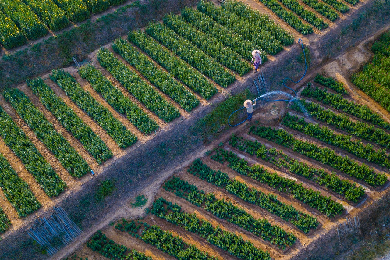 High angle shot of farmers tending to lush green cropland using irrigation systems.